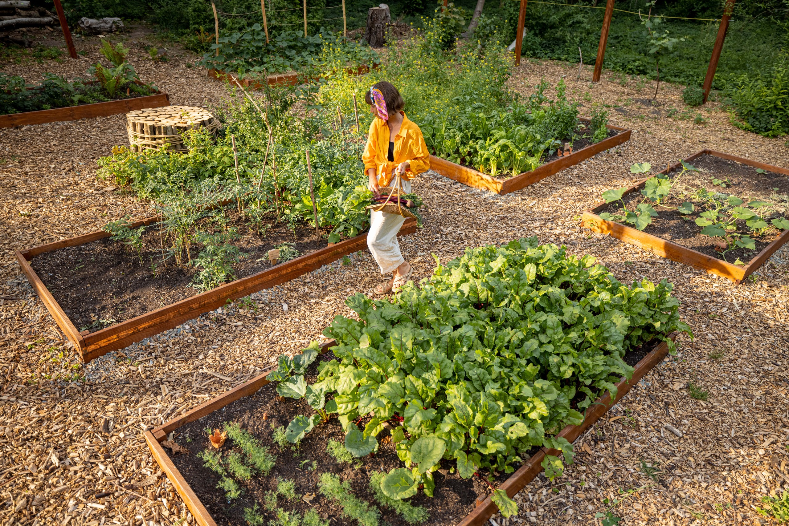 From Garden To Table The Easiest Vegetables To Grow And Their Amazing Health Perks