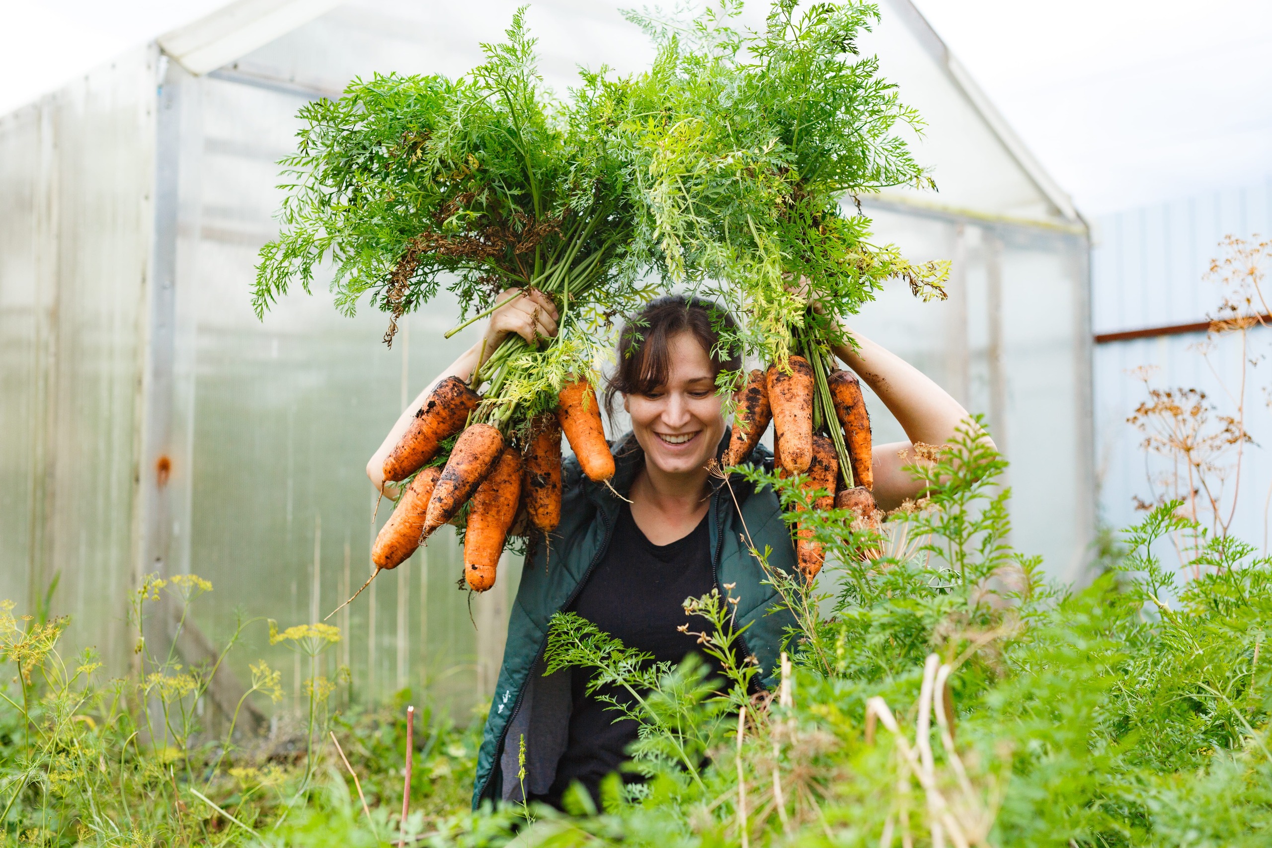 Carrots Sweet and Nutritious Root Vegetables